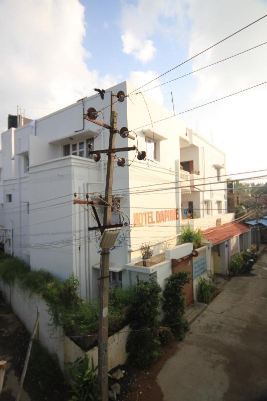 Daphne Hotel - image 11