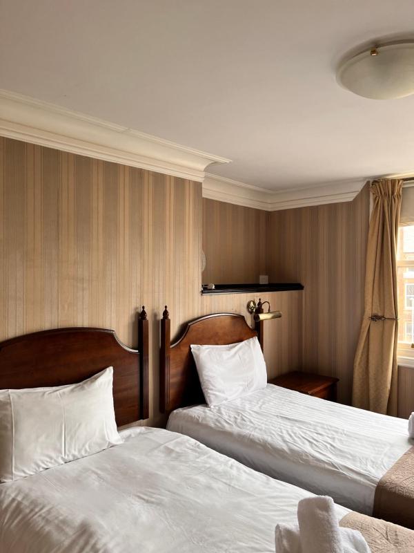 Standard Twin Room image 3