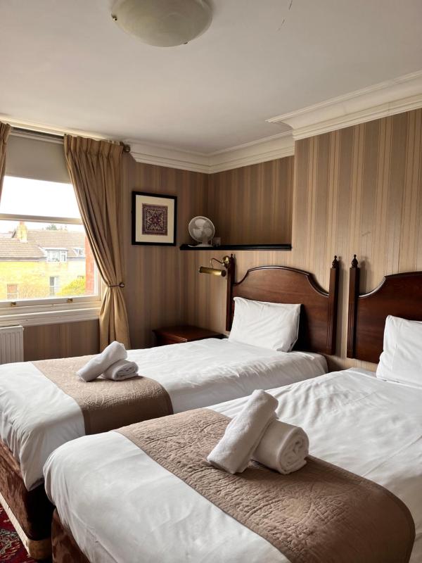 Standard Twin Room image 2