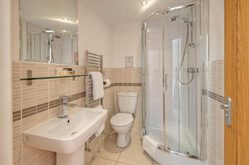 Room 6 - Superior Super King Ensuite with Shower image 4