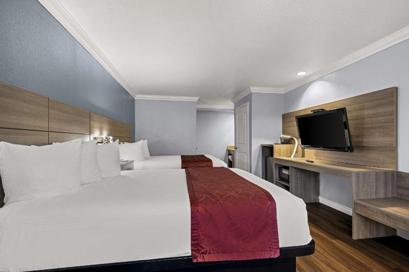 Double Room with Two Double Beds with Roll-in Shower - Disability Access/Non-Smoking image 3