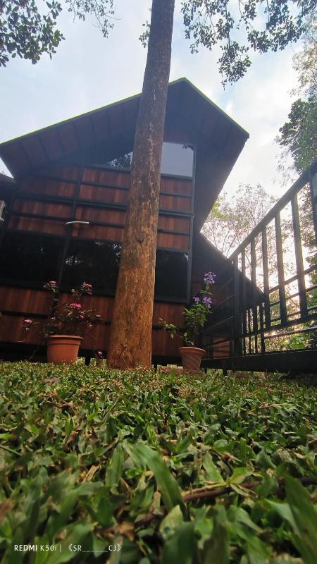 Tree House Wayanad - image 3