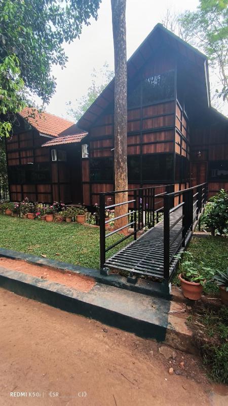 Tree House Wayanad - image 7