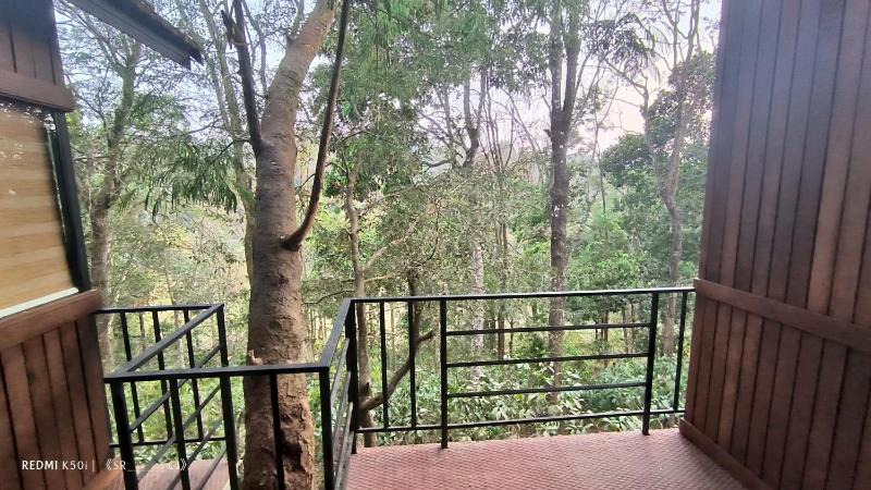 Tree House Wayanad - image 8
