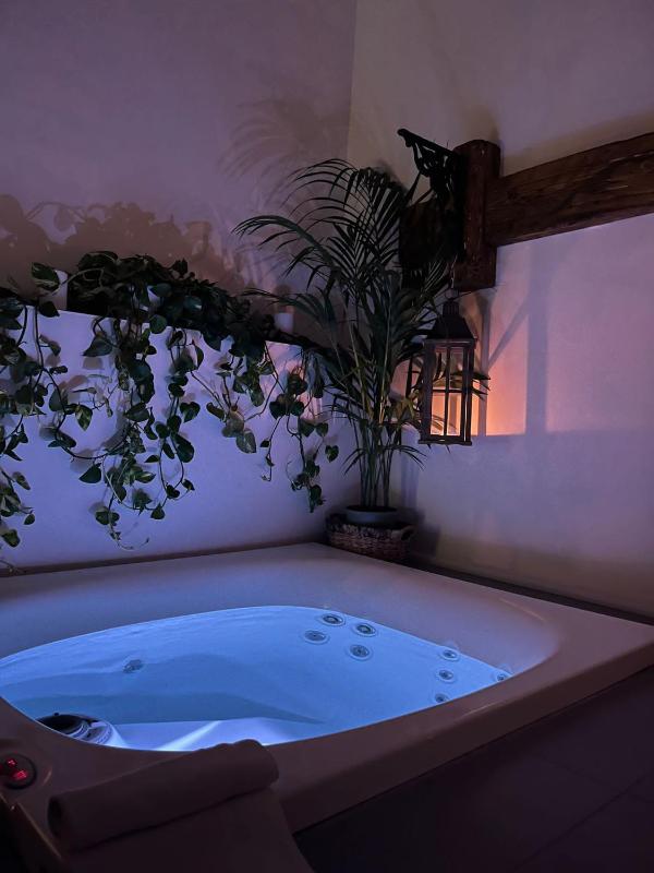 Junior Suite with Spa image 2