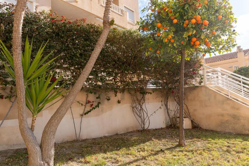 rentafive - Apartamento del Mar - Piscina - Vistas - image 28