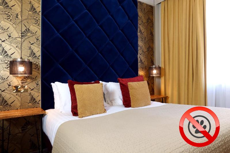 Deluxe King Room image 1