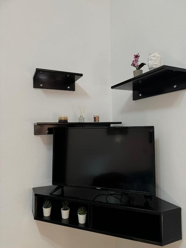 Apartment - Ground Floor image 4