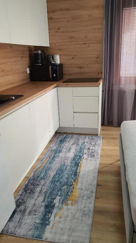 Apartment with Balcony image 2