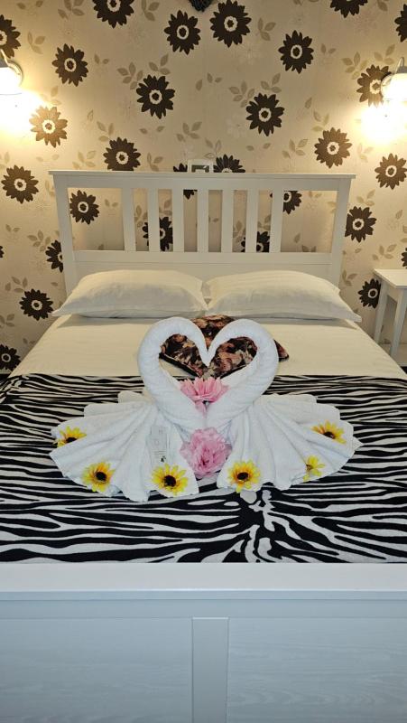 Basic Double Room image 4