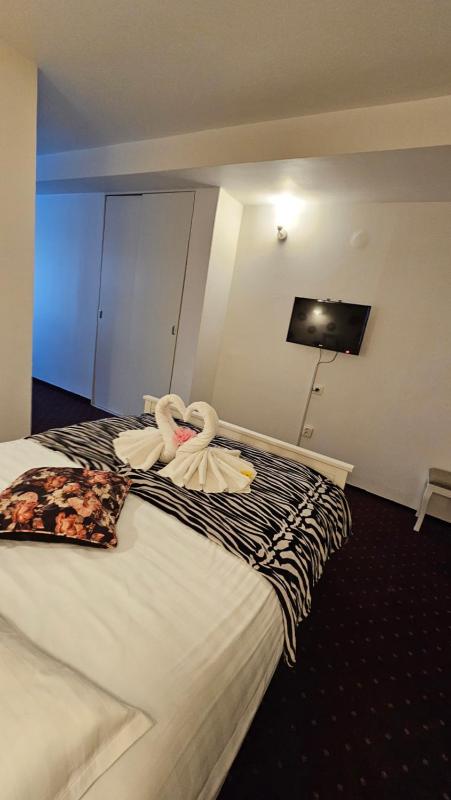 Basic Double Room image 3