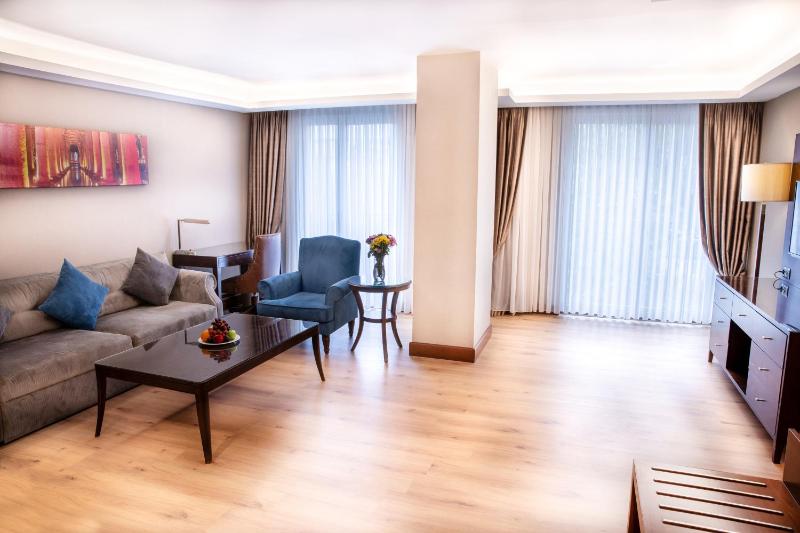 One-Bedroom Suite image 1