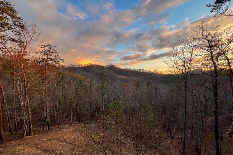 Southern Splendor - image 6