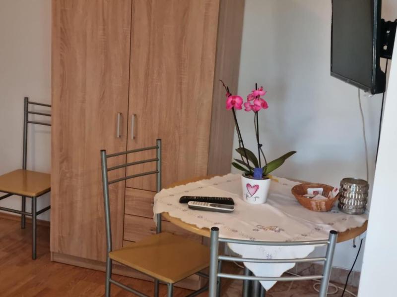 Studio with Terrace image 4