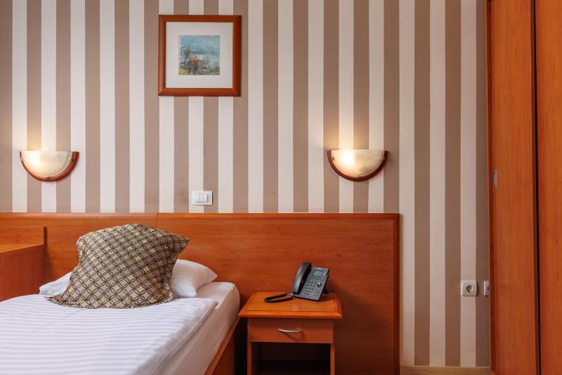 Superior Single Room image 4