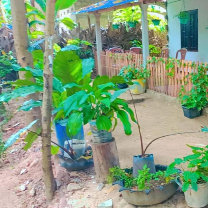 NR Villa Nilaveli - image 2