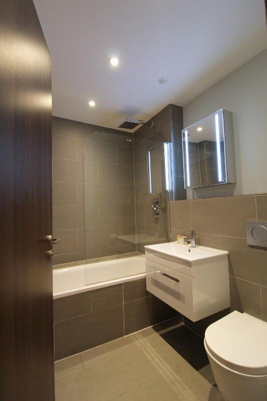 One-Bedroom Apartment image 2