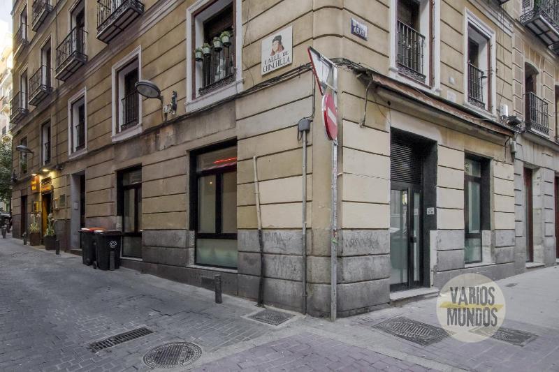 Deluxe Apt en el centro de Madrid para 9pax E3 - image 8
