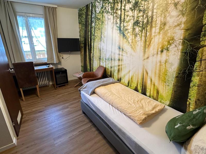 Single Room image 4