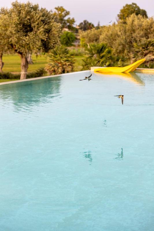 Agua Green Resort - image 41