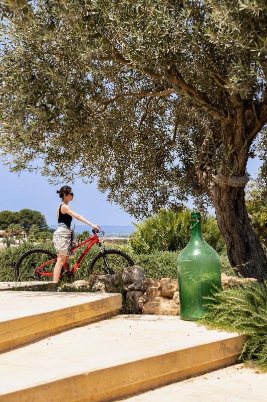 Agua Green Resort - image 42