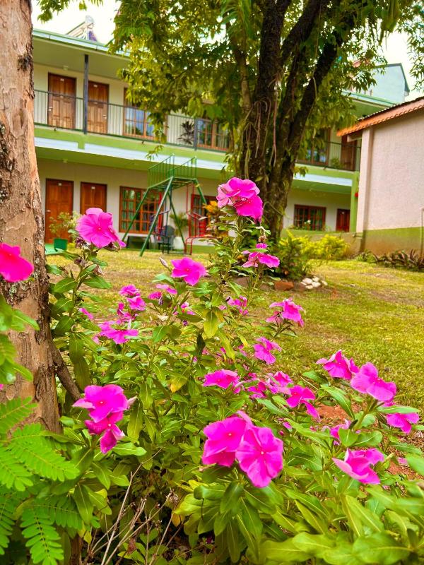 Tupa Hotel Iguazu - image 5