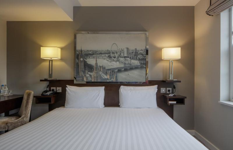 King Guest Room image 4