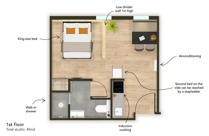 Deluxe King Studio image 2