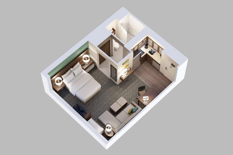 Queen Studio Suite with Bath Tub - Mobility Accessible - Non-Smoking image 3