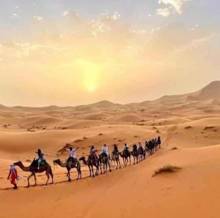Merzouga Luxurious Camp - image 13
