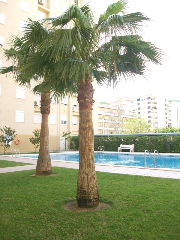 MIAMI Playa de Gandía - Alquiler solo familias - image 44