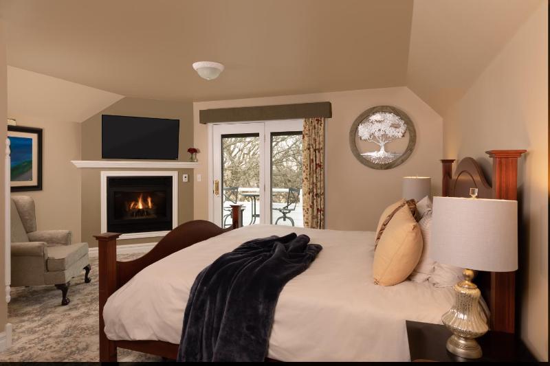 Deluxe King Suite image 1