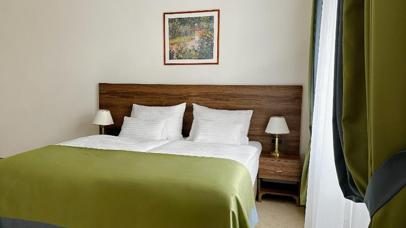Villa Smetana Spa & Wellness Resort - image 26