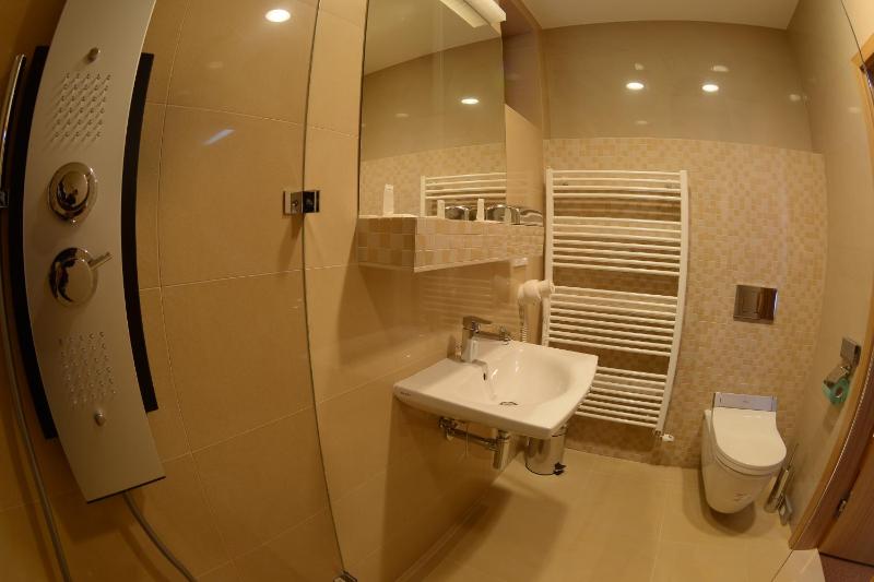 Deluxe Single Room image 2