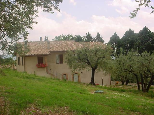 Agriturismo La Cantina San Martino - image 44