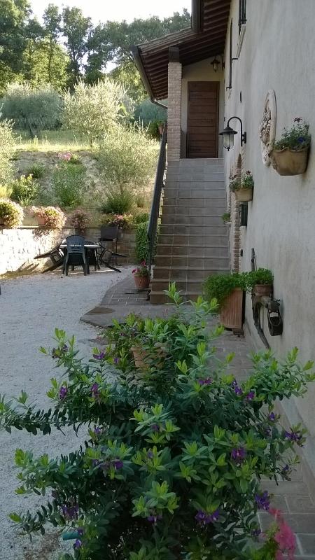 Agriturismo La Cantina San Martino - image 14