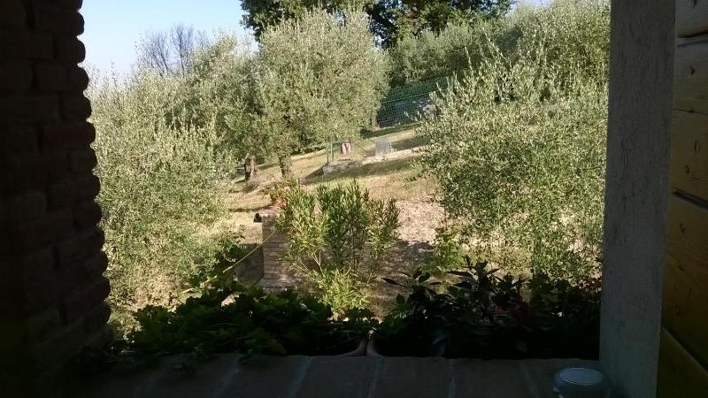Agriturismo La Cantina San Martino - image 27