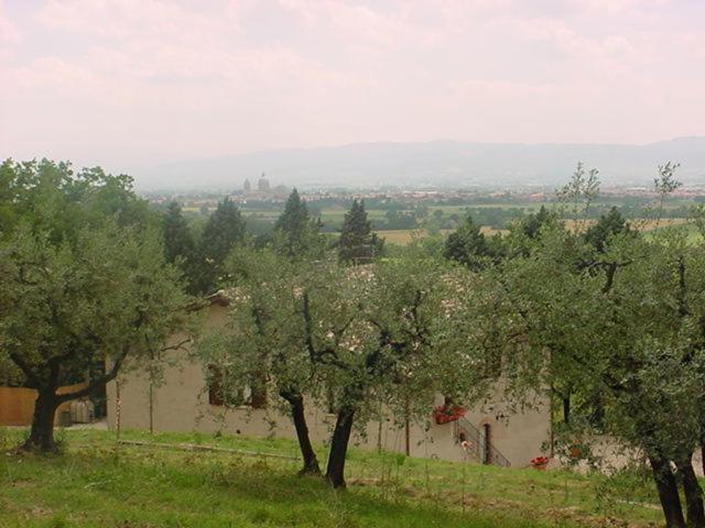 Agriturismo La Cantina San Martino - image 39