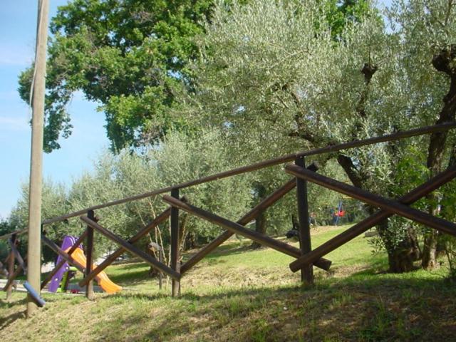 Agriturismo La Cantina San Martino - image 9