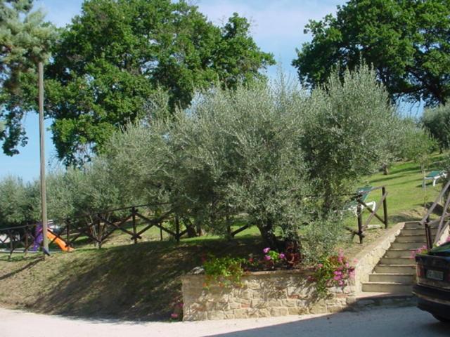 Agriturismo La Cantina San Martino - image 20