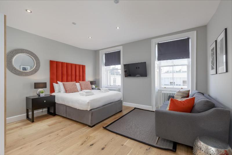 Superior Studio Apartment image 2