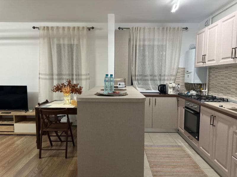 Cozy Deluxe King Studio - Coresi Avantgarden Brasov - image 10