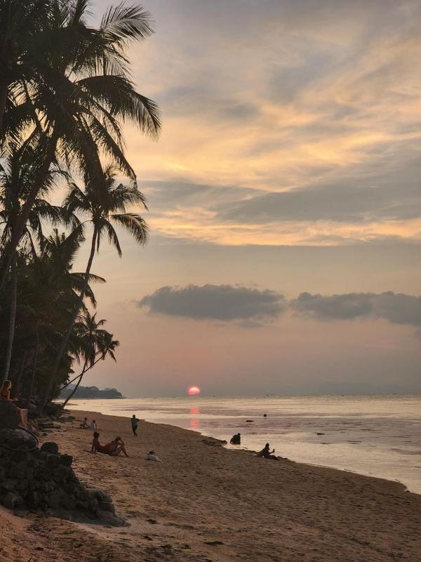 A Little Bungalows By Beach - image 9
