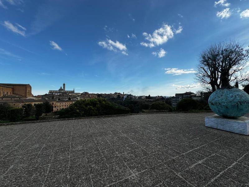 SKYLINE Siena - image 15