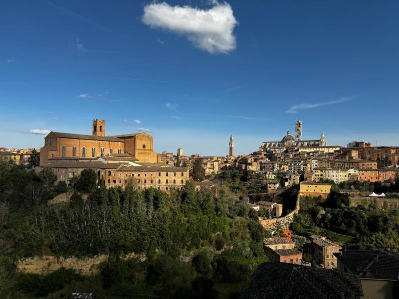 SKYLINE Siena - image 33