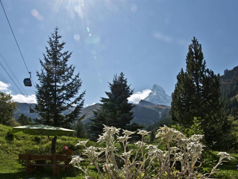 Double Room with Matterhorn View image 4