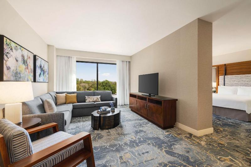 King Studio Suite image 3