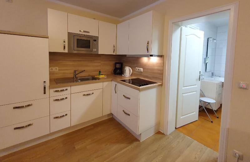 One-Bedroom Apartment image 4