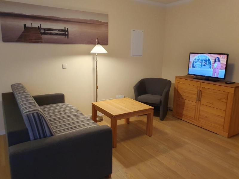 One-Bedroom Apartment image 3