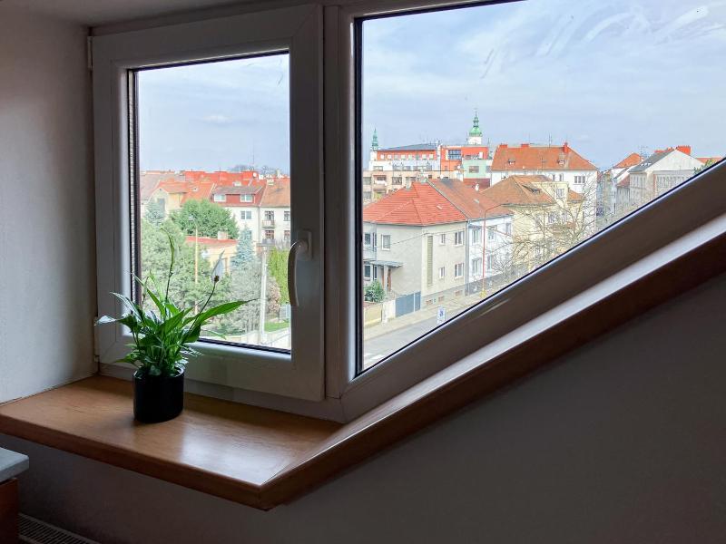 One-Bedroom Suite image 1